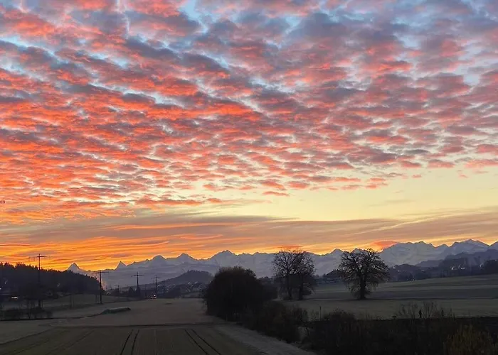 Pipin's 오스터문디겐