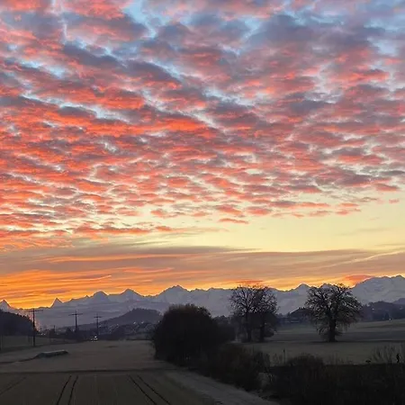 Pipin's Ostermundigen